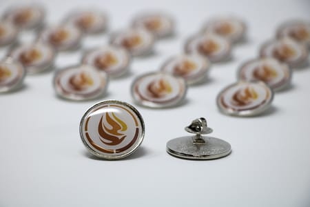 NCTR logo pin