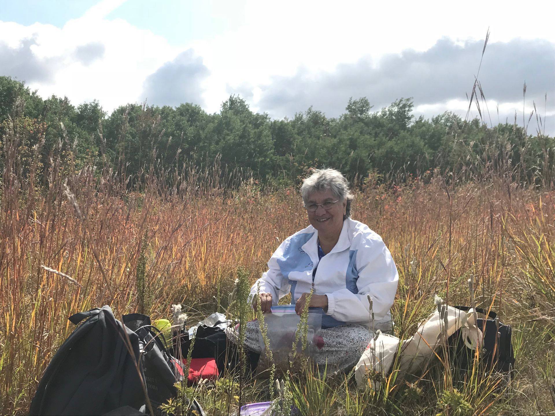 Woman sitting harvesting medicine in field 