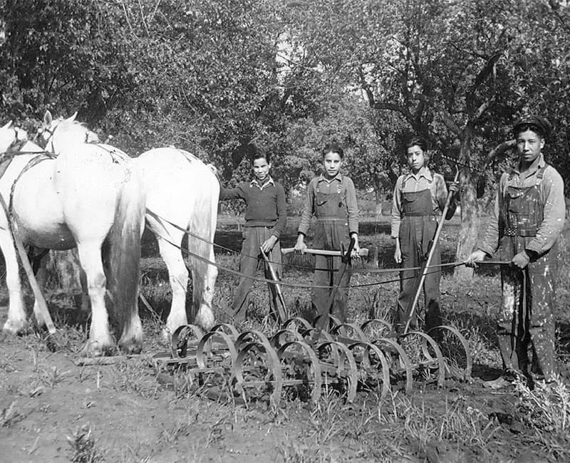 Group of people outside with horses from Mohawk Institute